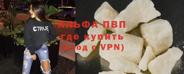 дживик Пересвет