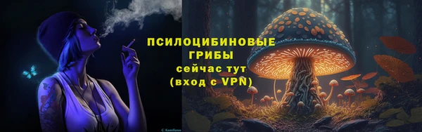 тгк Алексеевка